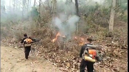 แม่ฮ่องสอน 'ไฟป่า' ทะลักกว่า 300 จุด อยู่ในภาวะวิกฤติ
