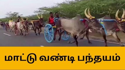 ராமநாதபுரம்: மாட்டு வண்டி பந்தயத்தில் சீறிப்பாய்ந்த காளைகள்