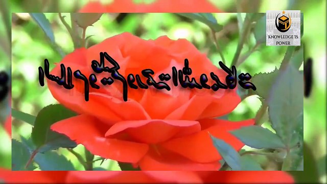 Jumma Ke Din Ka Wazifa Agr Ye Amal Faqeer Kr Ly To Cror Pati Bn Jy #knowledgeispower #knowledgeispower #islamicvideo #kip #islamicinformation #quraan #urdu #urdu #islamic #islamichistoricalvideo