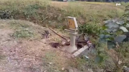 দঃদিনাজপুরঃ তপনে জল কষ্ট দূরের সময়সীমা বেঁধে দিলেন রাজ্যের এই মন্ত্রী!