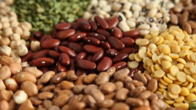 Salute e alimentazione, più proteine vegetali nella dieta