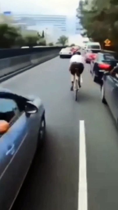 Short Funny Compilation (54)