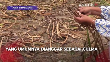Eceng Gondok Disulap jadi Kerajinan Cantik