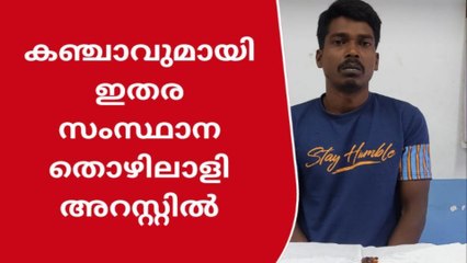 ട്രെയിനില്‍ കടത്തി കൊണ്ടുവന്ന കഞ്ചാവുമായി ഇതര സംസ്ഥാന തൊഴിലാളി അറസ്റ്റിൽ