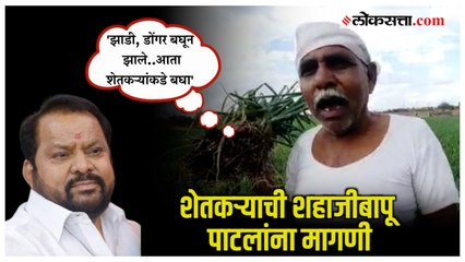 'गुवाहाटीला जाऊन आलात, आता शेतकऱ्यांची अवस्था बघा'; नुकसानग्रस्त शेतकऱ्याची शहाजीबापूंना मागणी