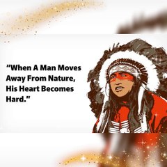 Native American Proverb