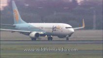 Jet lite flight take off from T3 of IGI Airport
