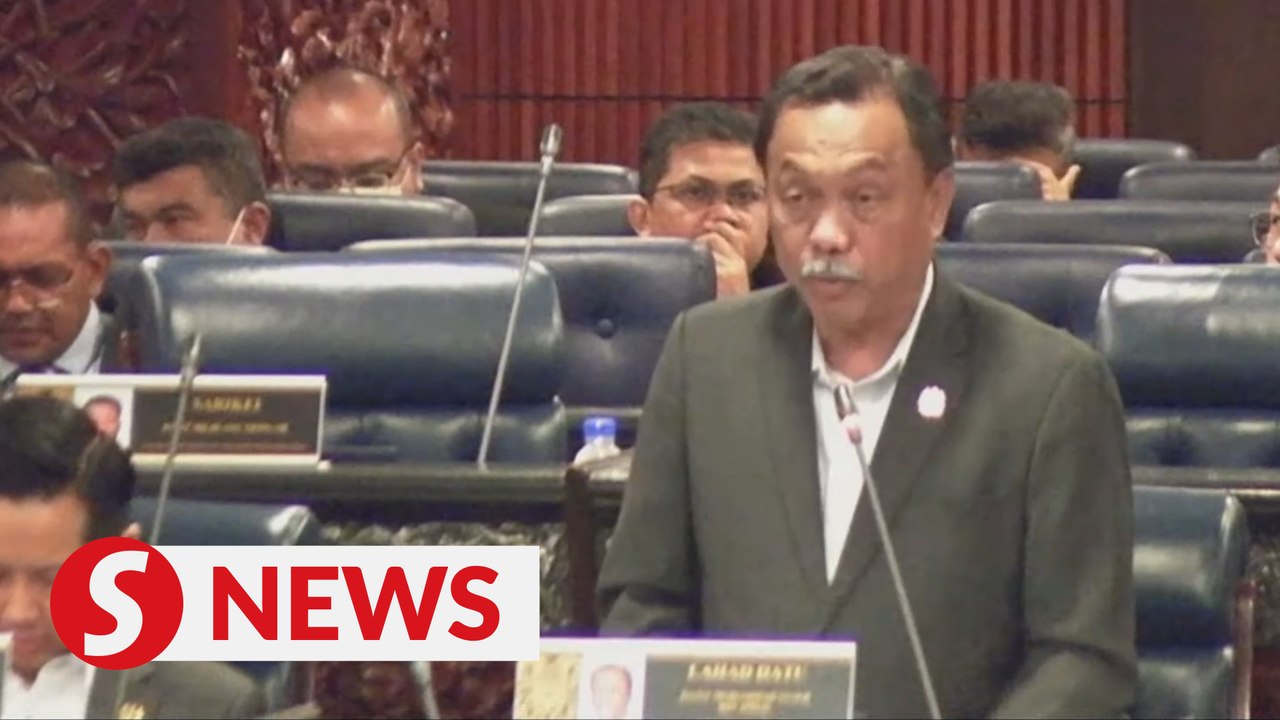 Use of Bahasa Malaysia not compulsory in private institutions, says Deputy Higher Education Minister