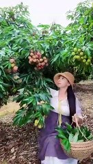 Enjoy beautiful nature with rural life