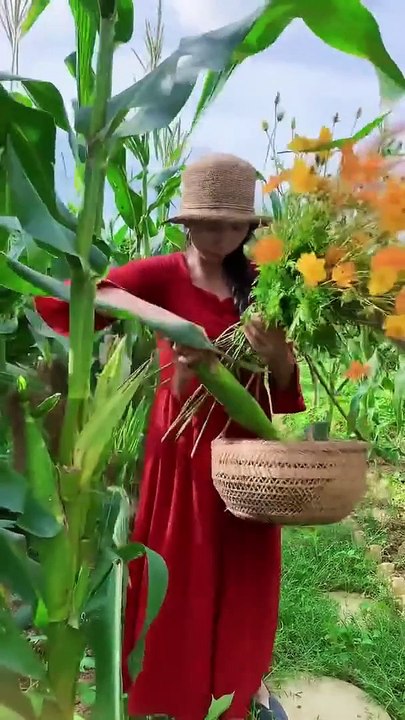 Enjoy beautiful nature with rural life