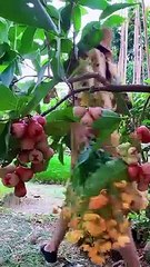 Enjoy beautiful nature with rural life