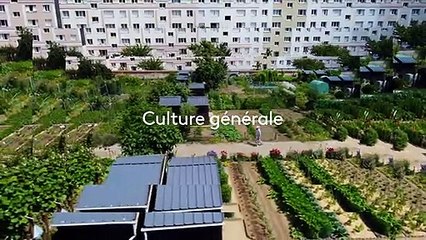 [BA] Potagers : si on semait ! - 27/03/2023
