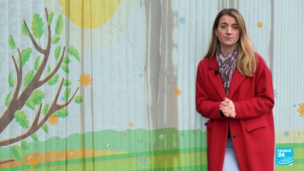 La grippe aviaire, nouvelle pandémie humaine ?