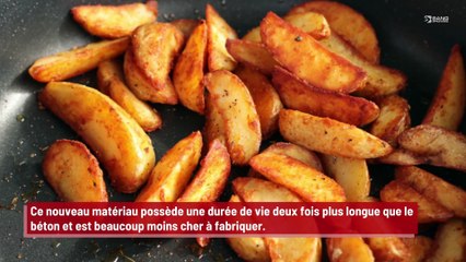 Les premiers colons de la planète Mars pourraient vivre dans des maisons faites en pommes de terre !