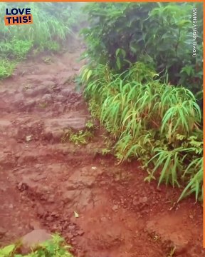 The Ultimate Climb: Scaling New Heights of Adventure