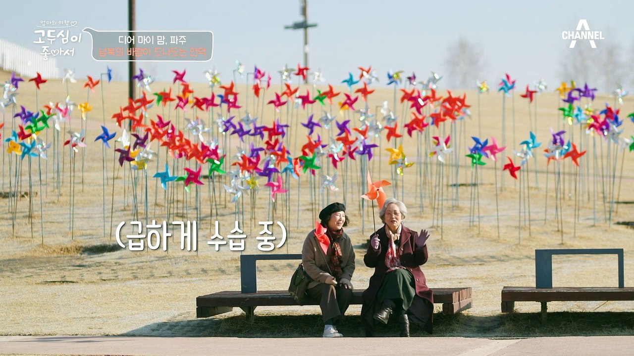[#고두심이좋아서] 40년 만에 함께 여행해 보는 고두심♥김영옥! 바라만 봐도 가슴 따뜻해지는 우정 여행기♬ #고두심 #김영옥