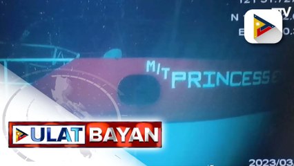 Mayor ng Puerto Princesa, dismayado sa pahayag ng UP Marine Science Institute na posibleng kumalat ang oil slick sa kanilang lugar