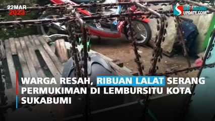 Warga Resah, Ribuan Lalat Serang Permukiman di Lembursitu Kota Sukabumi