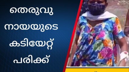 തെരുവുനായ ആക്രമം; ആറ് വയസുകാരനടക്കം നാലു പേർക്ക് പരിക്ക്