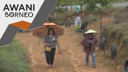 Dari sebidang tanah menjadi lubuk rezeki keluarga