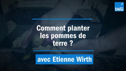 Comment planter les patates ?