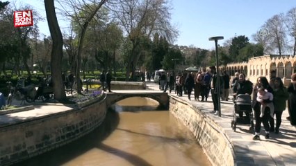 Balıklıgöl'de selin ardından balıklar kendilerini göstermeye başladı