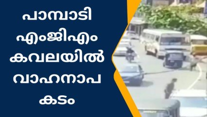 പാമ്പാടിയിൽ വാഹനാപകടം; ഡ്രൈവറുടെ നില ഗുരുതരം