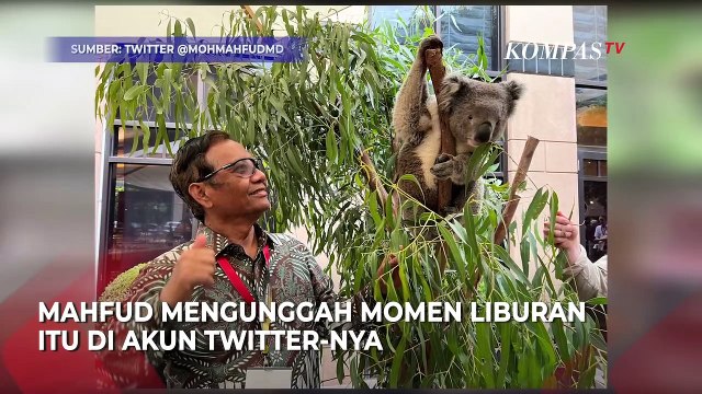 Mahfud MD Bicara Soal Tulus dan Bersih Saat Pegang Binatang Buas: Pegang Pawangnya atau Diplester