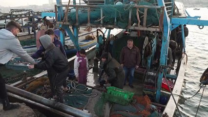 جهاد الهسي صياد فلسطيني في نزاع قضائي مع محكمة إسرائيلية حول مصادرة قاربه