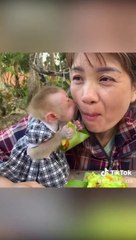 Female monkey kissing her friend to give her a meal
