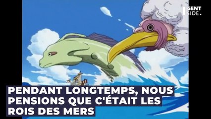 Quel est le personnage le plus grand de One Piece ? Il est immense !