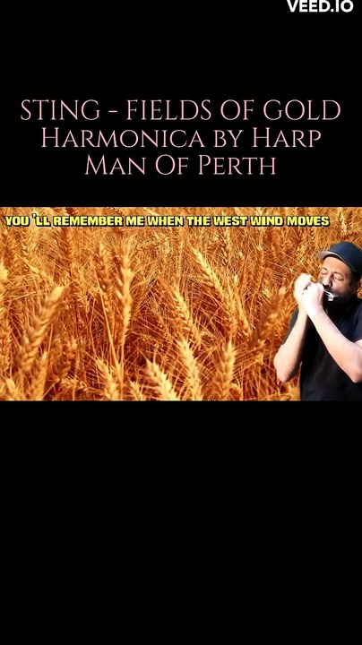 Sting - Fields of Gold - Harmonica melody  with lyrics - a song for your loved one - short video