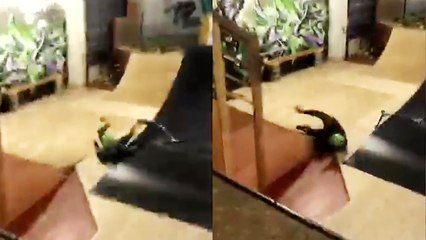 A skater dramatically fails backflip.