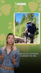 Toby se extravió en una lejana montaña, pero unos rescatistas no descansaron hasta encontrarlo