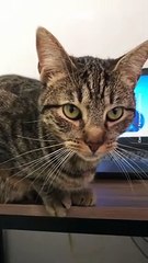 Karen creo que tendré que cobrarte honorarios porque soy un modelo muy cotizado