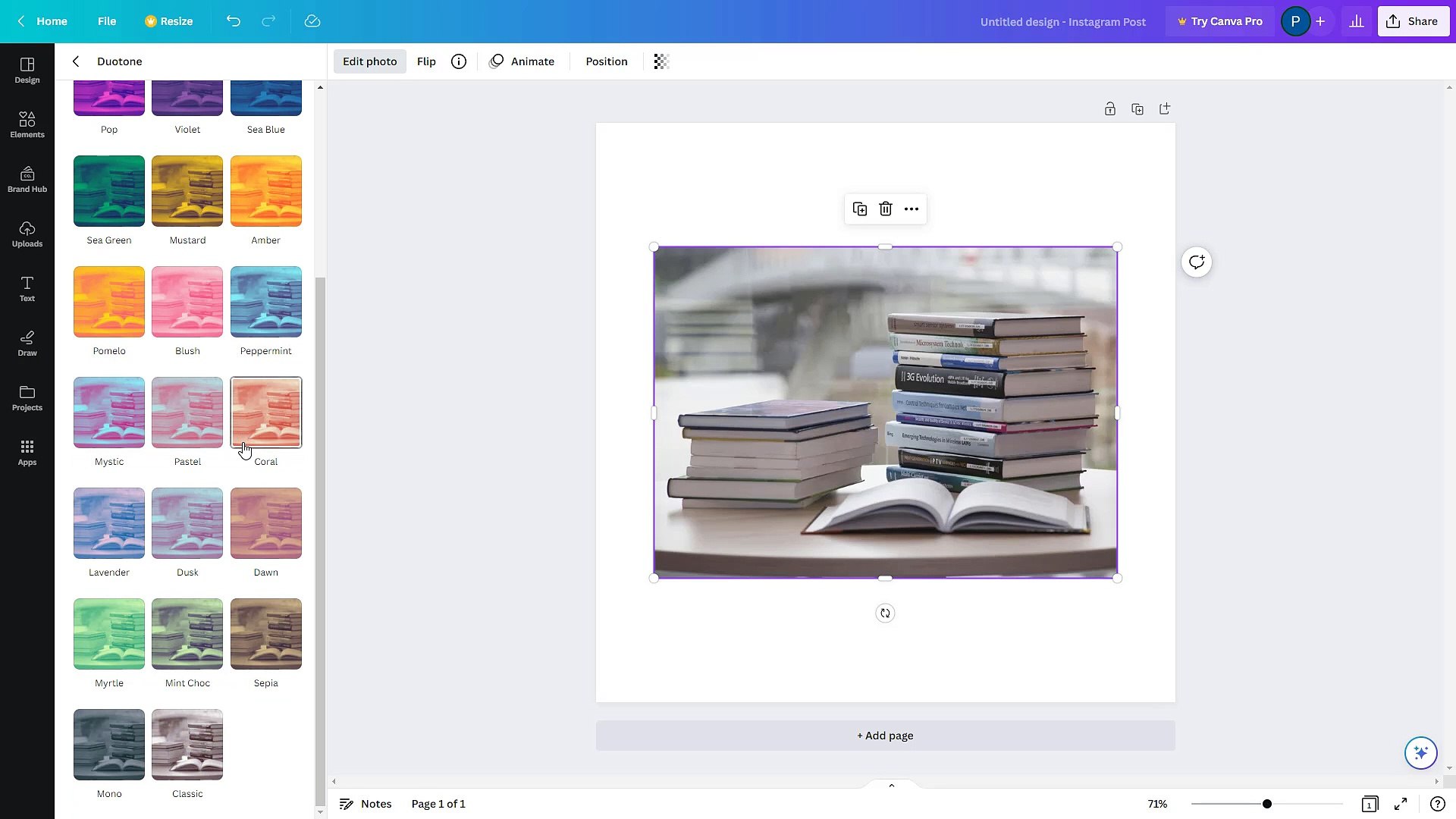Canva Course Section 13 Various Image Effects