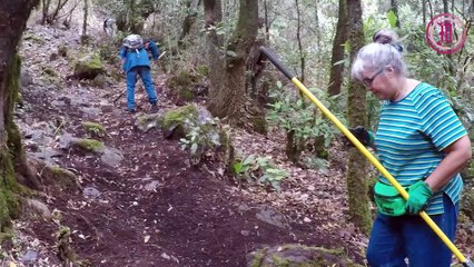 Previenen y luchan vs incendios en los bosques los ‘Teporingos’