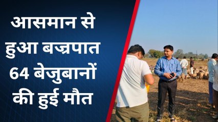 मिर्जापुर: आकाशीय बिजली की चपेट आए 64 मवेशियों की हुई मौत, जाने पूरा मामला