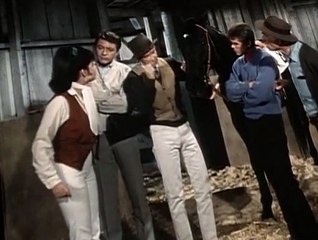 My Favorite Martian S03 E29