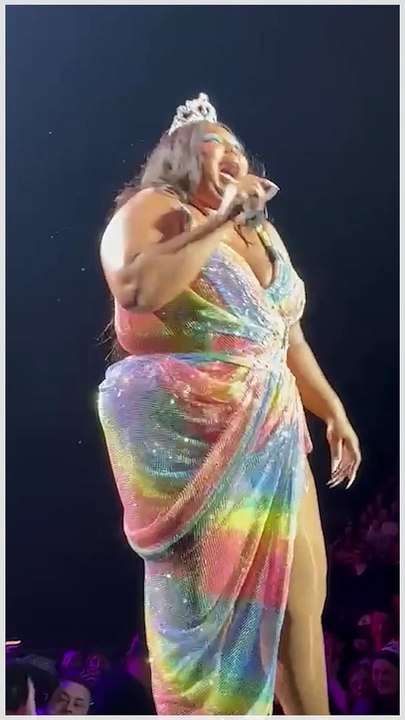 Lizzo Has Sweet Interaction With Fan Who Threw...