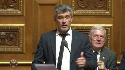Suivez en direct la séance de questions au gouvernement au Sénat
