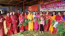 गोसेवा के साथ मनाया हिन्दू नव वर्ष