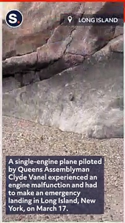 Plane Piloted by Queens Assemblyman Makes Emergency Landing on Long Island Beach