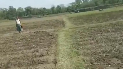 আলিপুরদুয়ার: হাতির হানায় অথৈ জলে আলু চাষী! আশঙ্কার কালো মেঘ