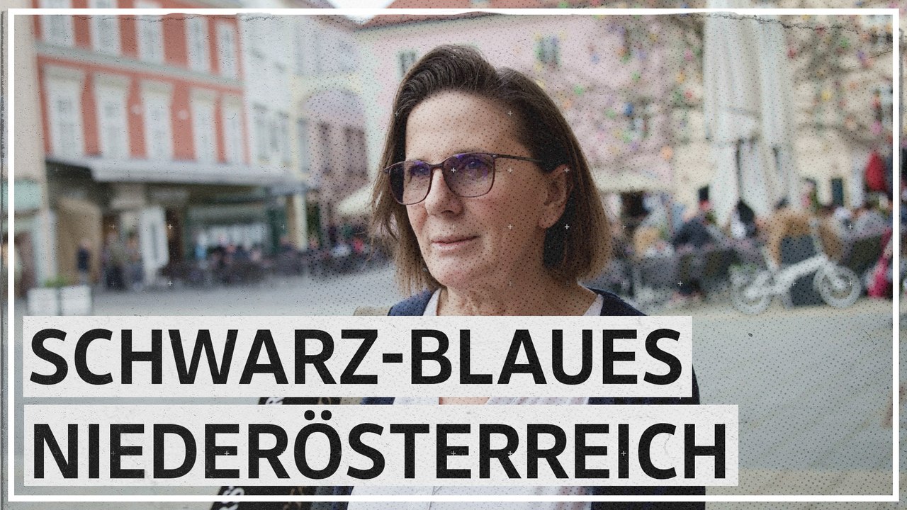 Niederösterreich unter Schwarz-Blau: „Als Geschichtslehrerin bin ich besorgt'
