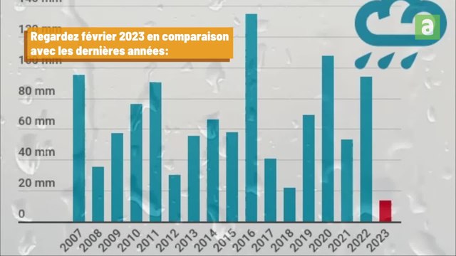Après un mois de février parmi les plus secs en Belgique, l’hiver a-t-il connu assez de précipitations ?