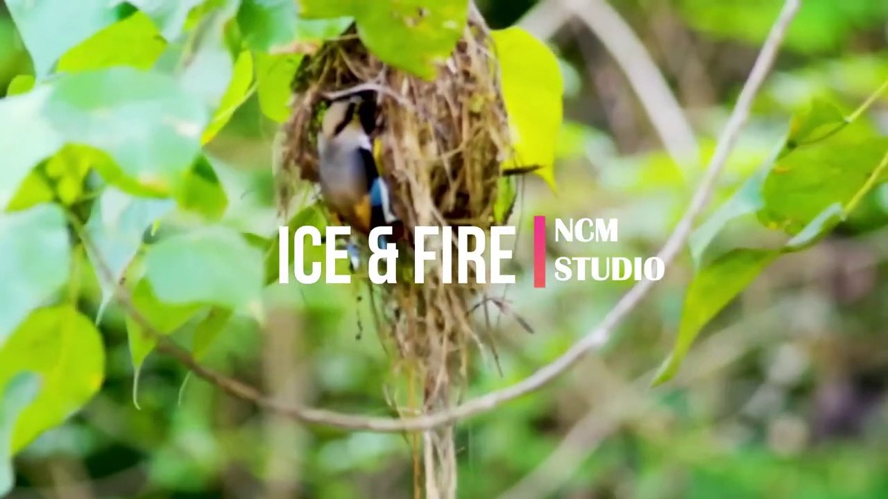 Ice & Fire - King Canyon- RnB and Soul Music, Funky Music @NCMstudio18