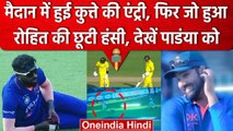 Ind vs Aus: Rohit Sharma नहीं रोक पाए हंसी, एक कुत्ते ने सिर पर उठाया पूरा मैदान | वनइंडिया हिंदी