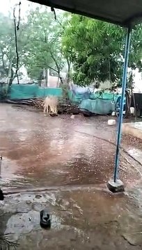 40 किमी प्रति घंटा की रफ्तार से चली हवा, खैजरा और म्याना में गिरे ओले