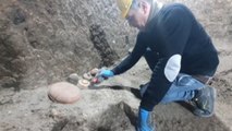 Arqueólogos descubren nuevos vasos y vajillas en el yacimiento de Pompeya